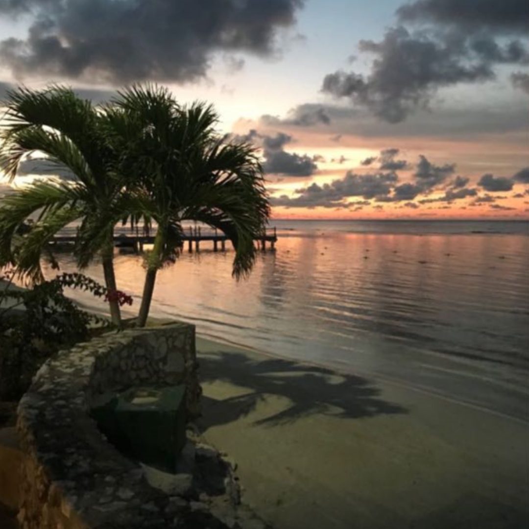 Sharon L WhatsApp image Large