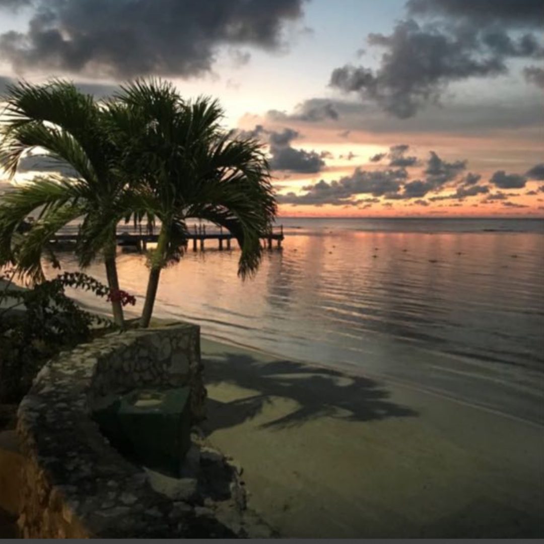 Sharon Lee Whats App image