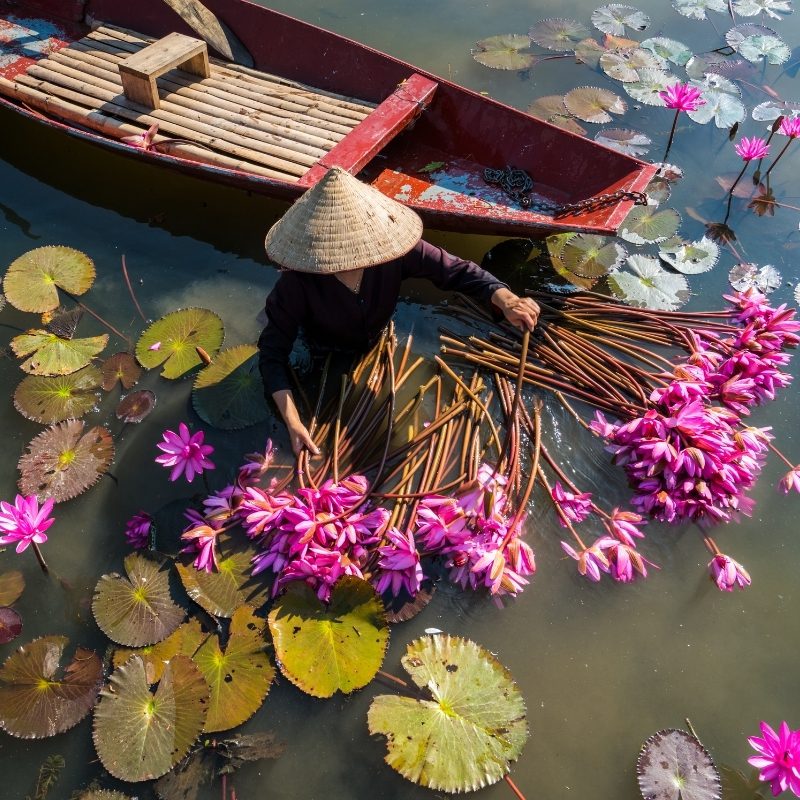 Woman handling flowers on Vietnam river