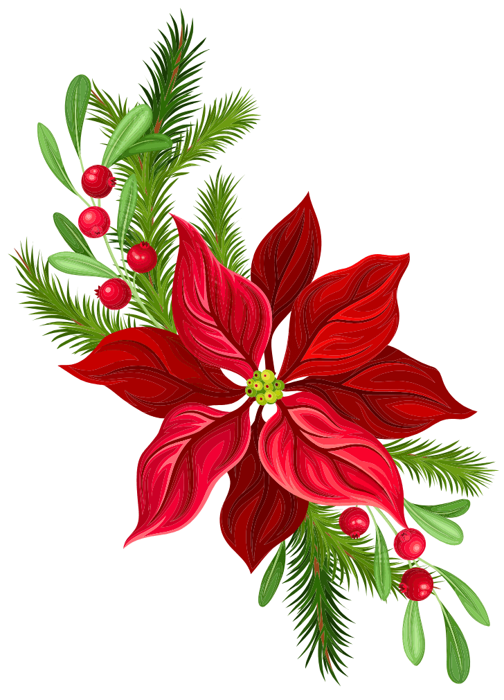 img_red-flower_01_lhs