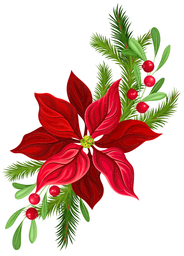 image of red flower rhs