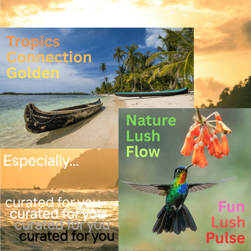 Cop27 pre-launch image